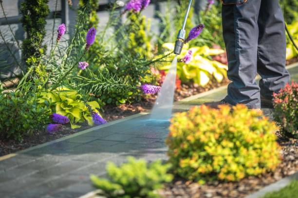 Best Restaurant Pressure Washing  in Fort Salonga, NY